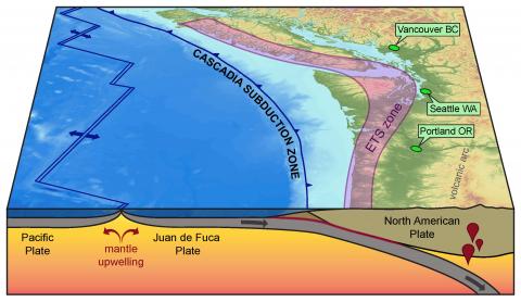 graphical illustration of the Cascadia subduction zone